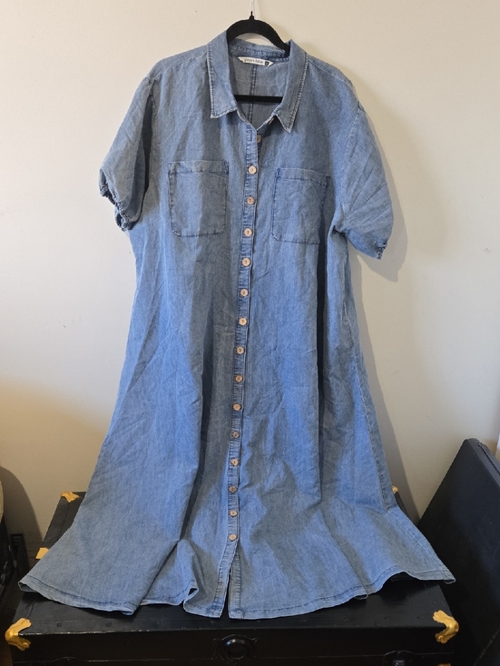 Given Kale Dresses & Skirts - Given Kale Ladied 3X Denim Maxi Dress